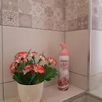 דירה Hajdi *