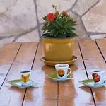 Hajdi דירה