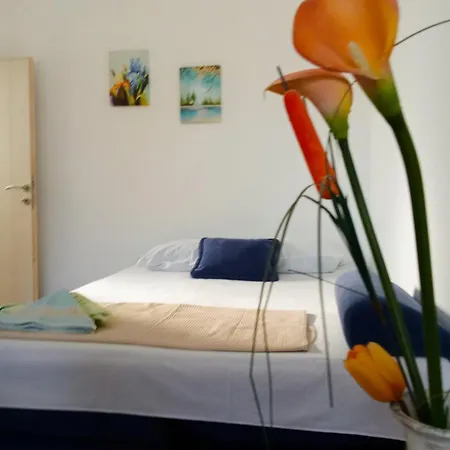 Hajdi Apartament *