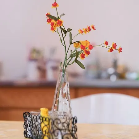 Hajdi 아파트 트레빈예